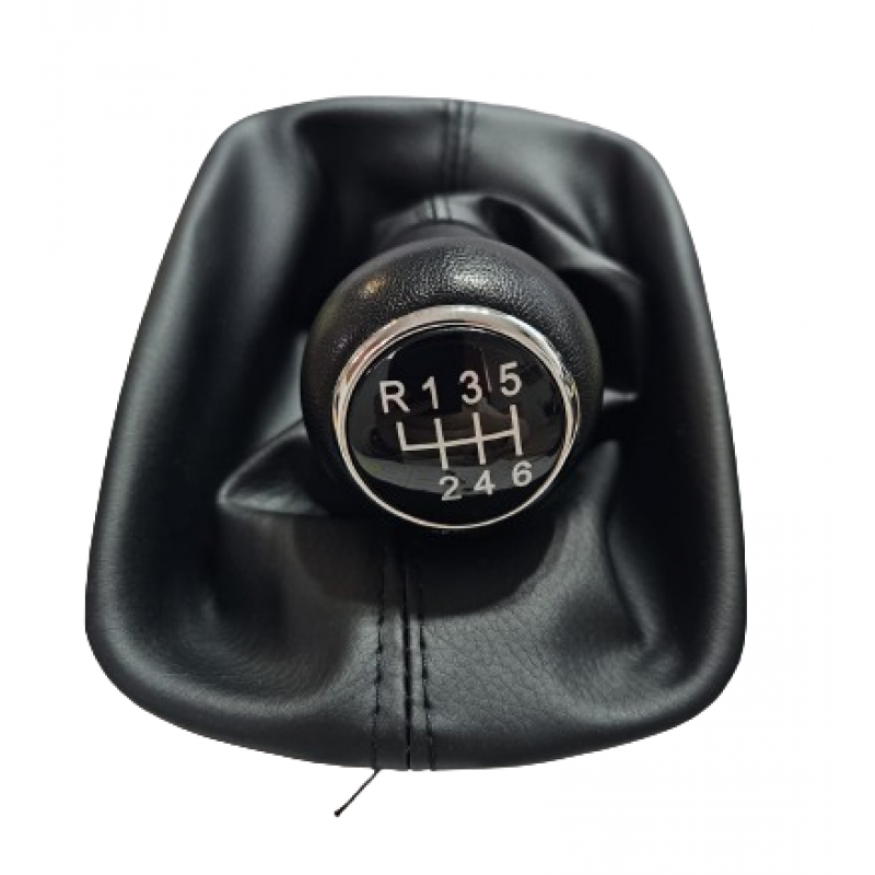 Maneta AUDI A6 C5 (98-01) 6 vit