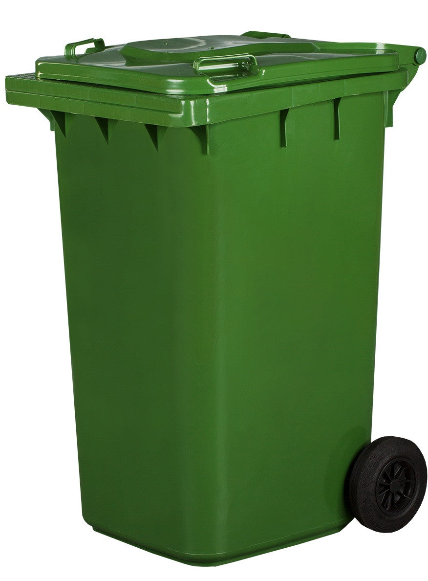 Pubela Gunoi 240L
