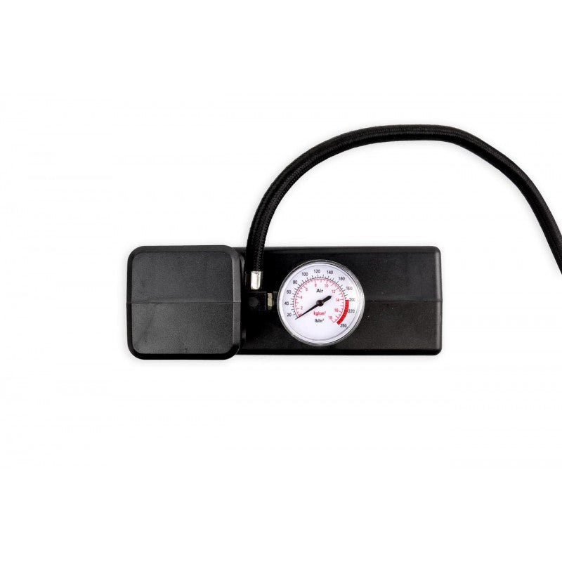 Compresor auto, 18 bari, 12V/230V, 4 adaptoare
