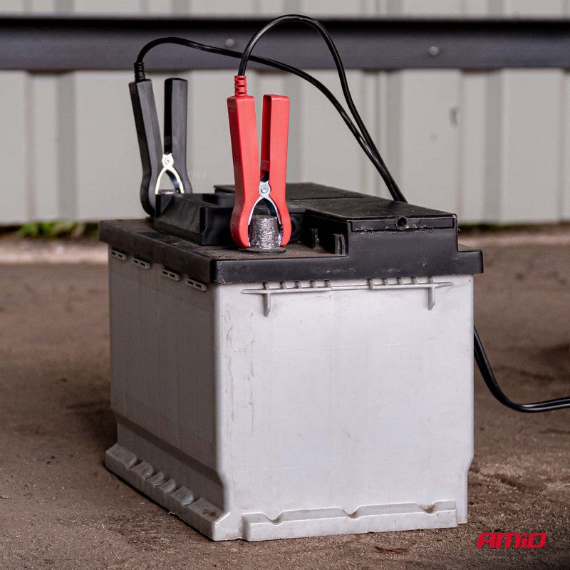 Încărcător digital de baterii cu plumb LFP MAX 5A 6/12V AMIO-04522