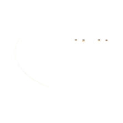 SET 2 BECURI 12V C10W 10W PURE LIGHT (blister) BOSCH