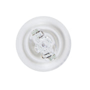 SET 2 BECURI 12V W16W 16W PURE LIGHT (blister) BOSCH