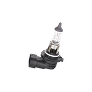 BEC 12V H10 42W PURE LIGHT BOSCH