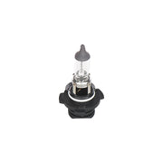 BEC 12V H10 42W PURE LIGHT BOSCH