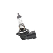 BEC 12V H10 42W PURE LIGHT BOSCH