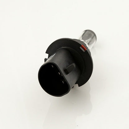 Bec halogen HB5 12V 65/55W
