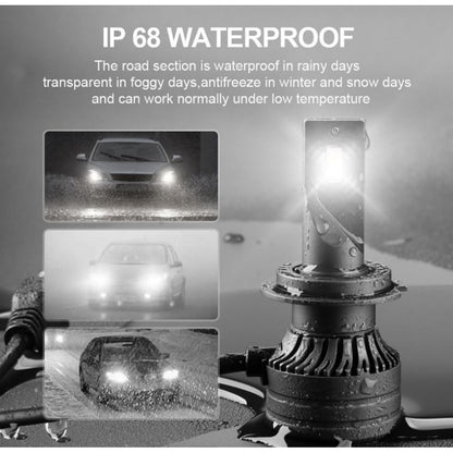 Set becuri L7-H11-12V 50W Canbus