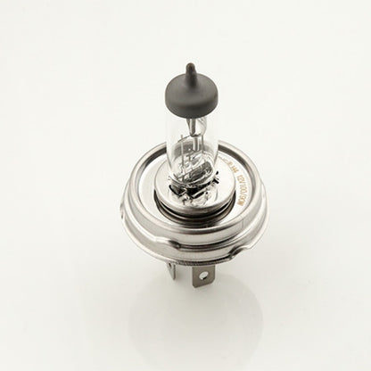 Bec halogen H5 12V 60/55W P45T E4