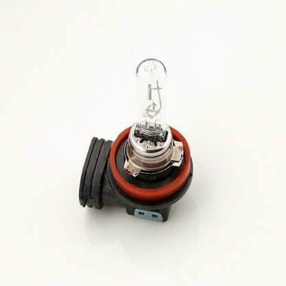 Bec halogen  H9 12V 65W