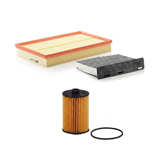 Kit filtre revizie VW Passat B7 3.6 FSI 4motion 300 CP – MANN