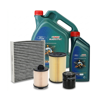 Kit revizie ulei Castrol Ford Magnatec D 0W-30 – PURRO