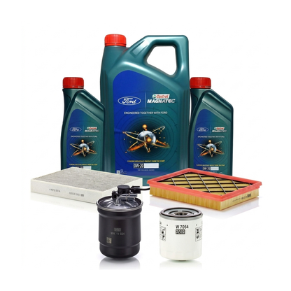 Kit revizie ulei Castrol Ford Magnatec 0W-20 + filtre Ford Focus 4 2.0 ST EcoBlue 190 CP – MANN