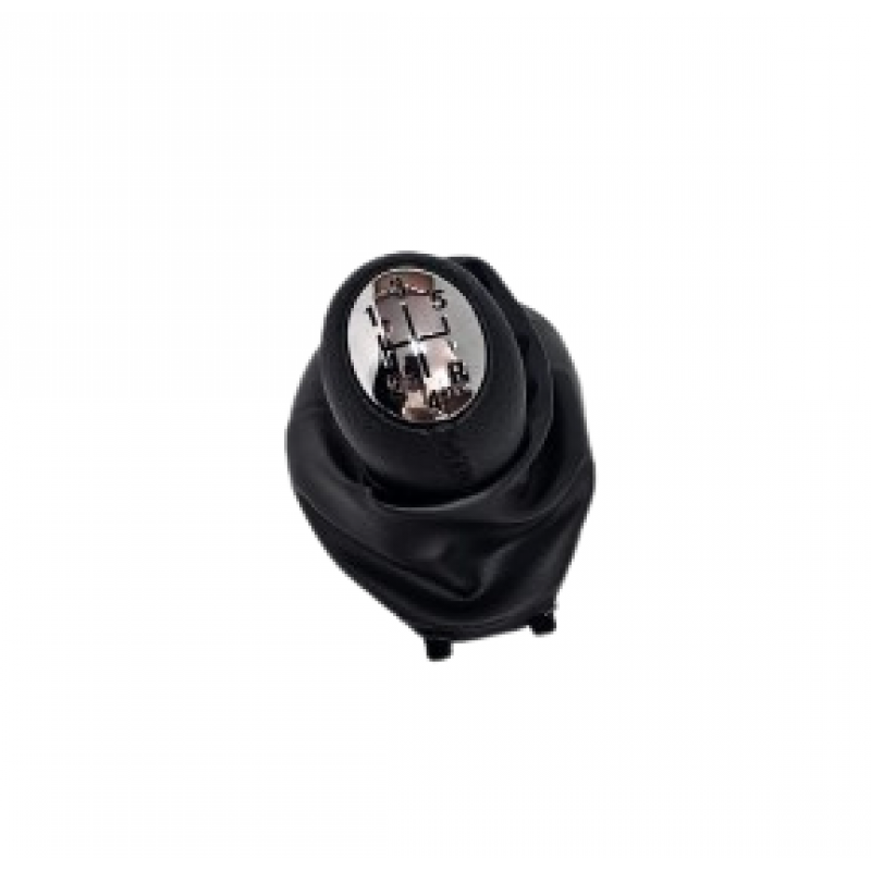 Maneta  Dacia Logan ,Renault Clio 2 II Clio 3 III Megane 2 II Scenic II Kangoo ,5 vit