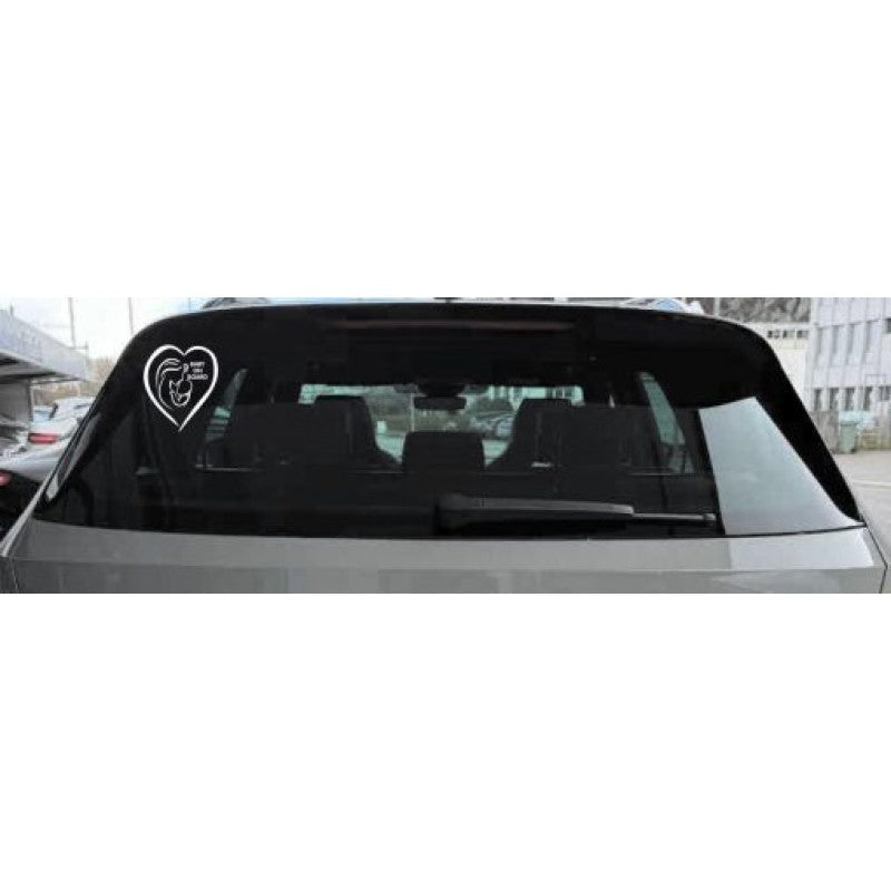 Baby on board mama si copil fundal transparent