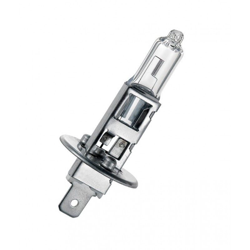 Bec halogen H1 12V