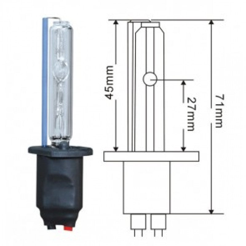 Bec xenon H1-8000K