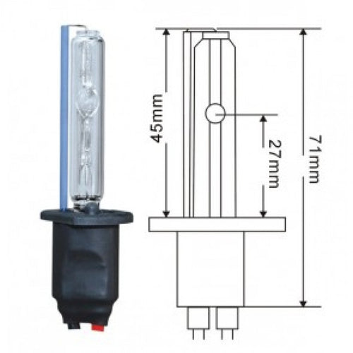Bec xenon H1-8000K