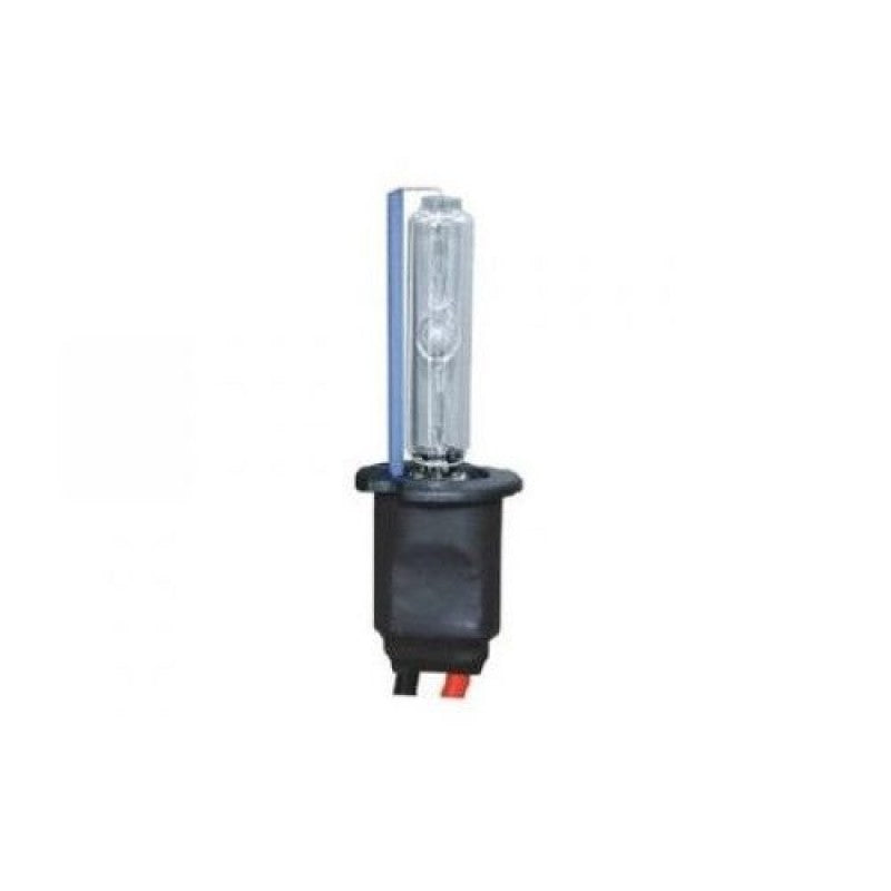 Bec xenon H3-8000K