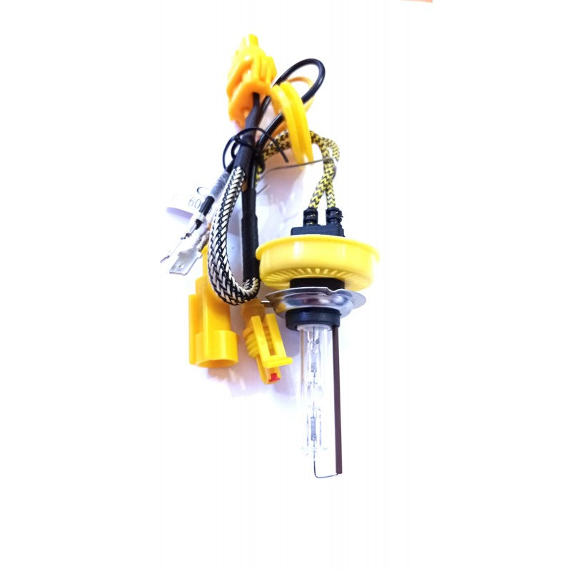 Bec Xenon H7-6000k