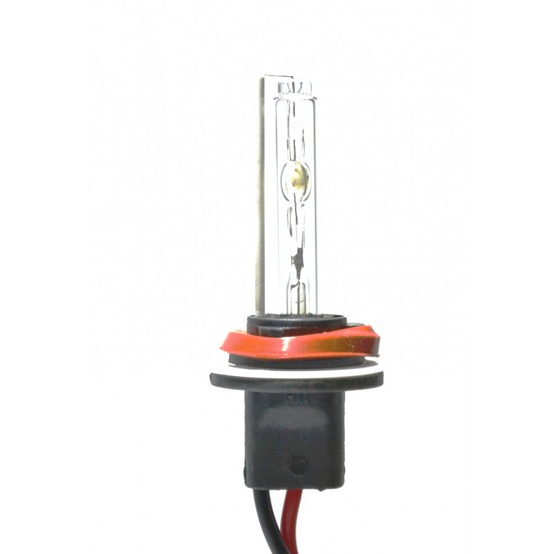 Bec xenon H9 -6000K