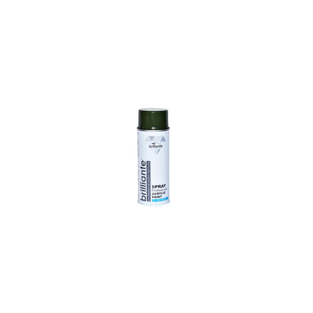СПРЕЙ БОЯ МАСЛЕНОЗЕЛЕНА (RAL 6003) 400 ml BRILLIANTE
