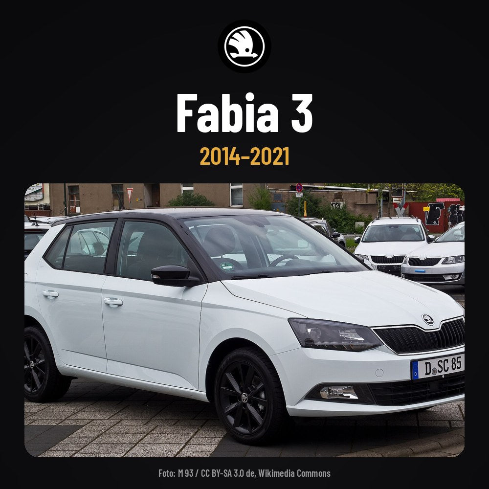 card_kit_model_skoda_fabia-3.jpg