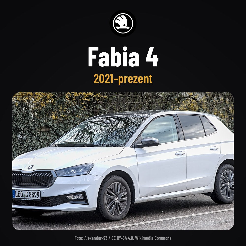 card_kit_model_skoda_fabia-4.jpg