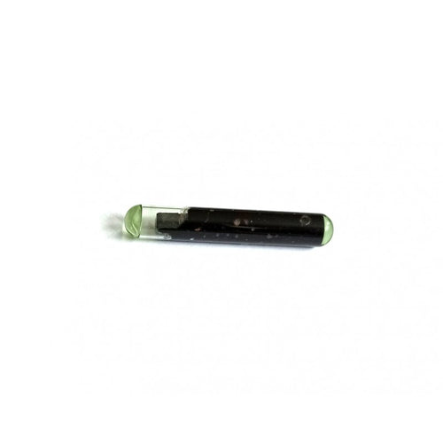 Cip T3 de sticla 4C pentru Ford TP02
