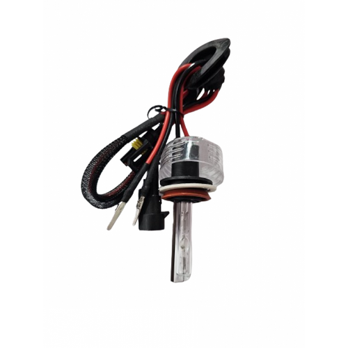 Bec xenon H11-4.300K