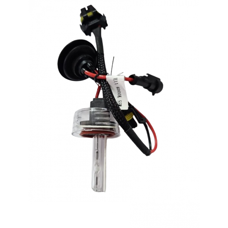Bec xenon H11-6000K