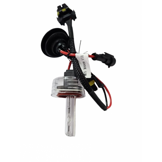 Bec xenon H11-6000K