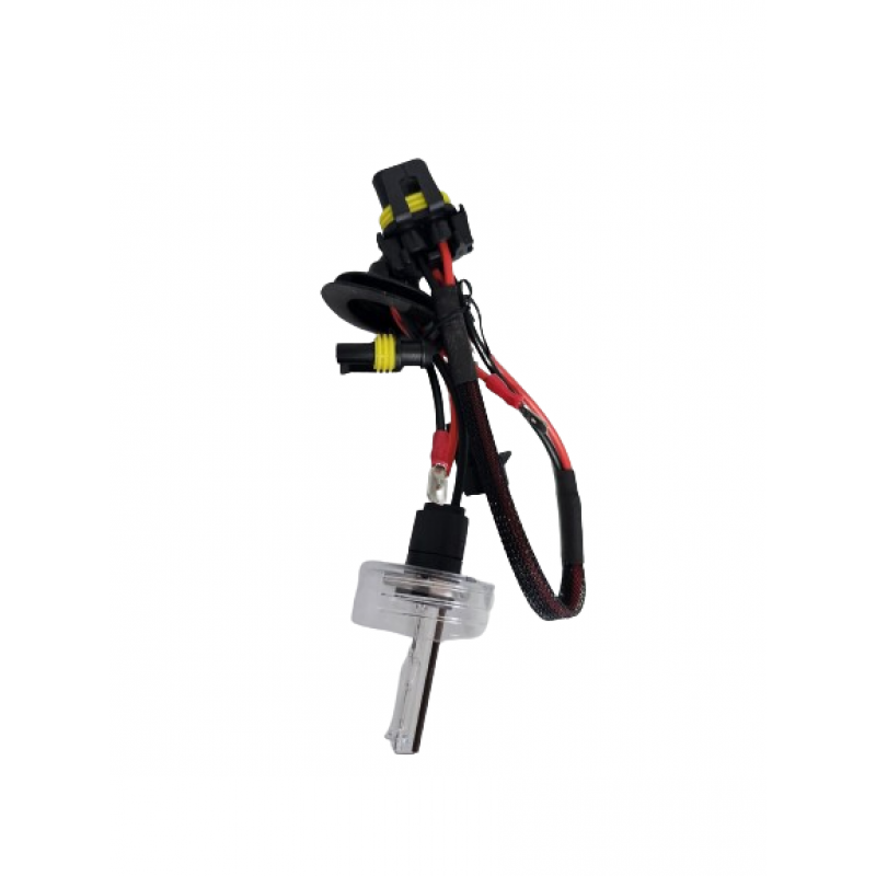 Bec xenon H7- 4.300K