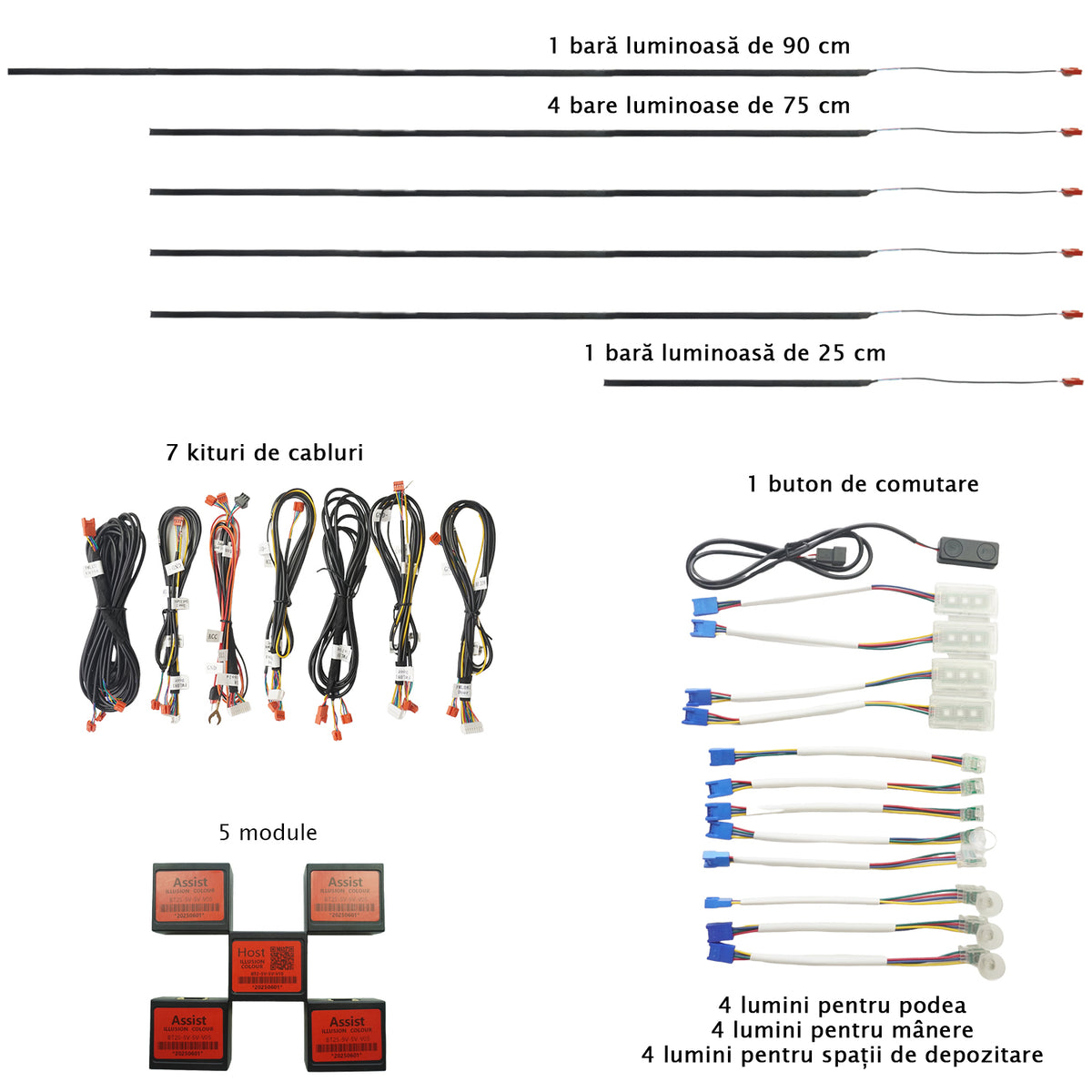 Kit lumini ambientale Profesionale RGB -  Carguard