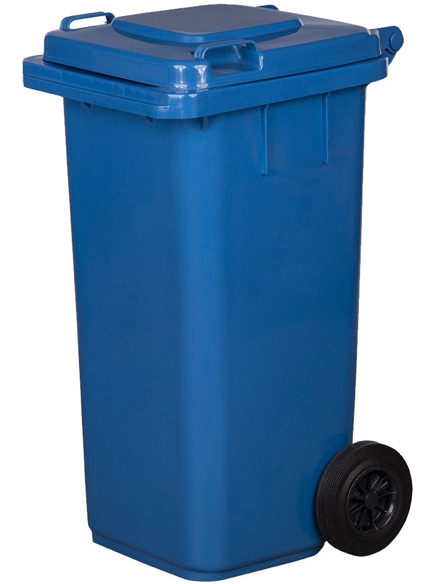 Pubela Gunoi 120L