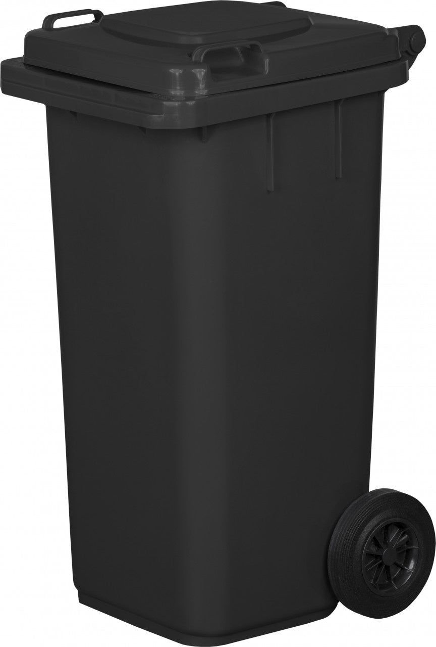 Pubela Gunoi 120L