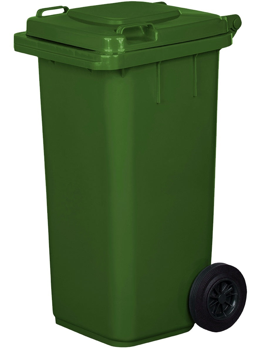 Pubela Gunoi 120L