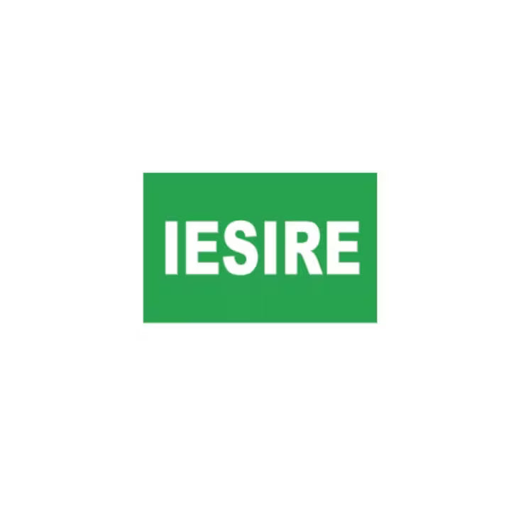 Sticker decorativ StickerStore Iesire, 30x20 cm, Verde