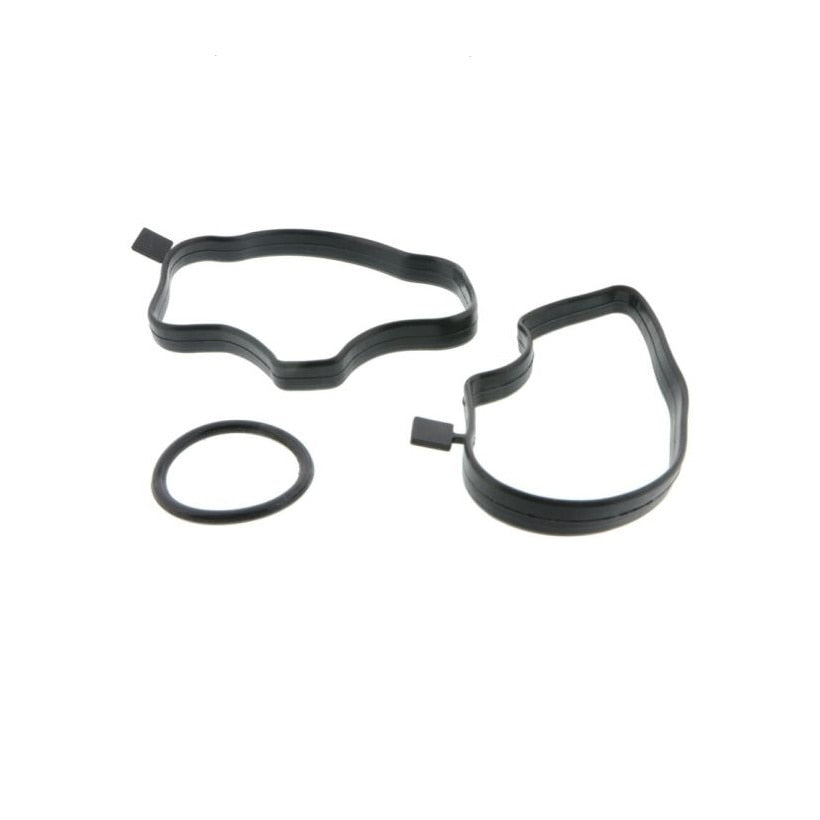 Filtru epurator cu garnituri pentru BMW E46, E39, E60, E53, E90 - YLOTECH