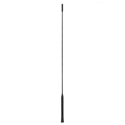 Antena Auto pentru Ford Focus Mondeo Escort Fiesta Transit Connect, Lungime 55cm