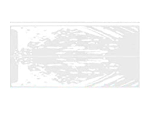 Set 2 stickere auto "Splash Kit Racing", alb